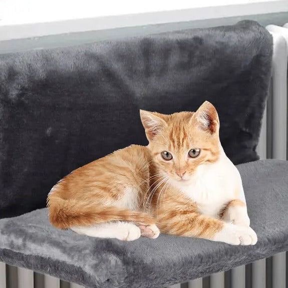 The radiator bed
