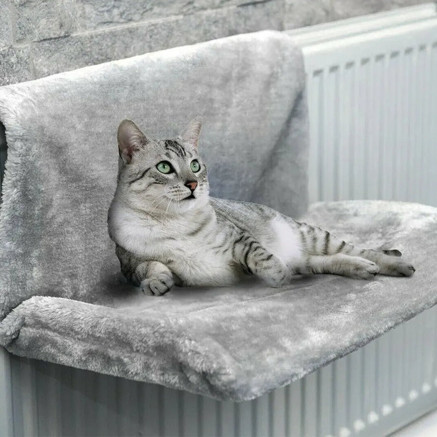 The radiator bed